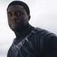 black panther